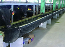 カウプラッター