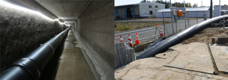 クリモトポリフュージョン管